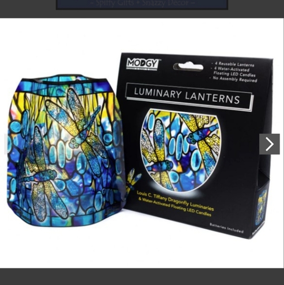 Dragonfly Luminary Lantern - Picture 1 of 6
